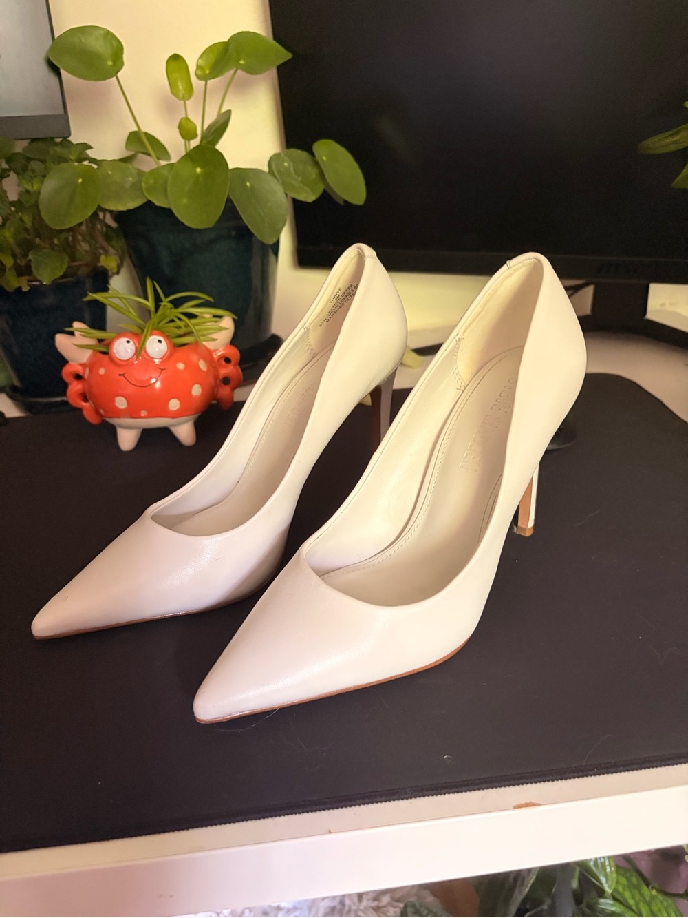 Steve Madden Pointed-Toe Pumps in Ivory White